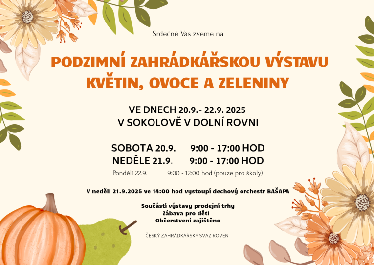 výstava